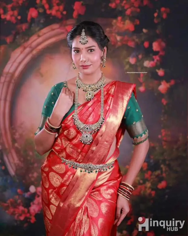 Gayathri Professional Makeup Artitst