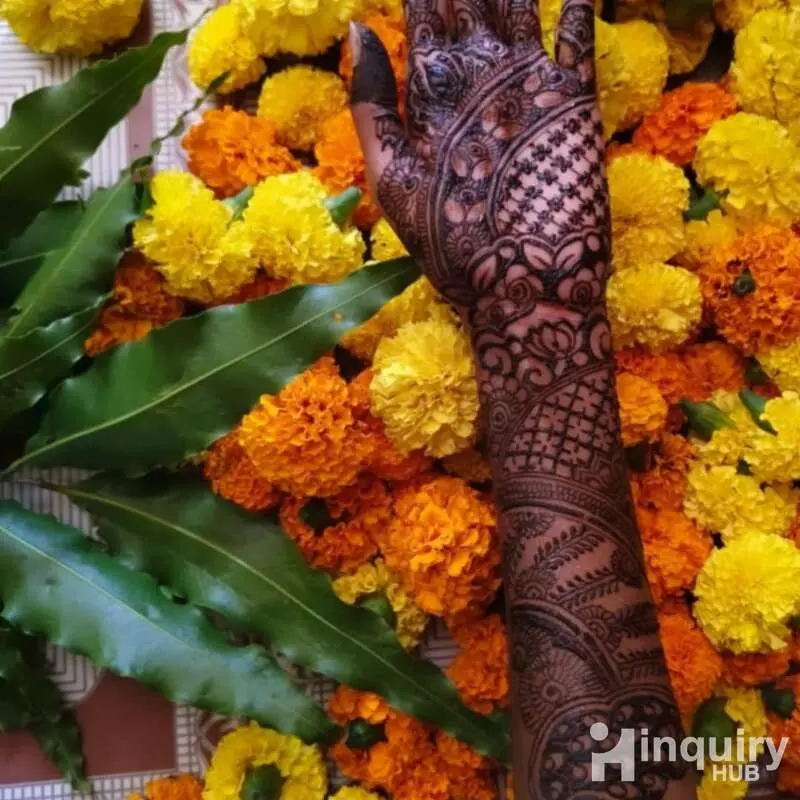 Mehendi Designer