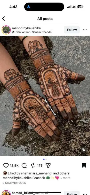 Mayuri Mehndi Artist