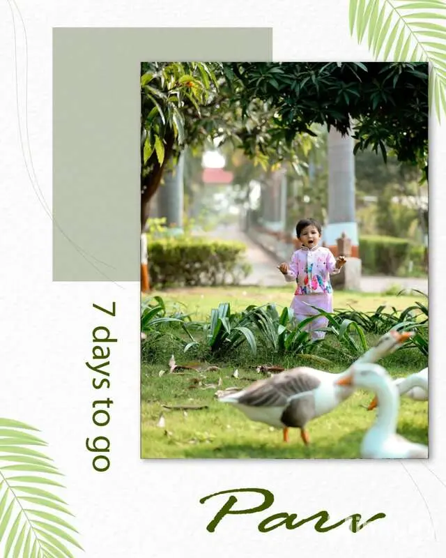 Shreeji Studio