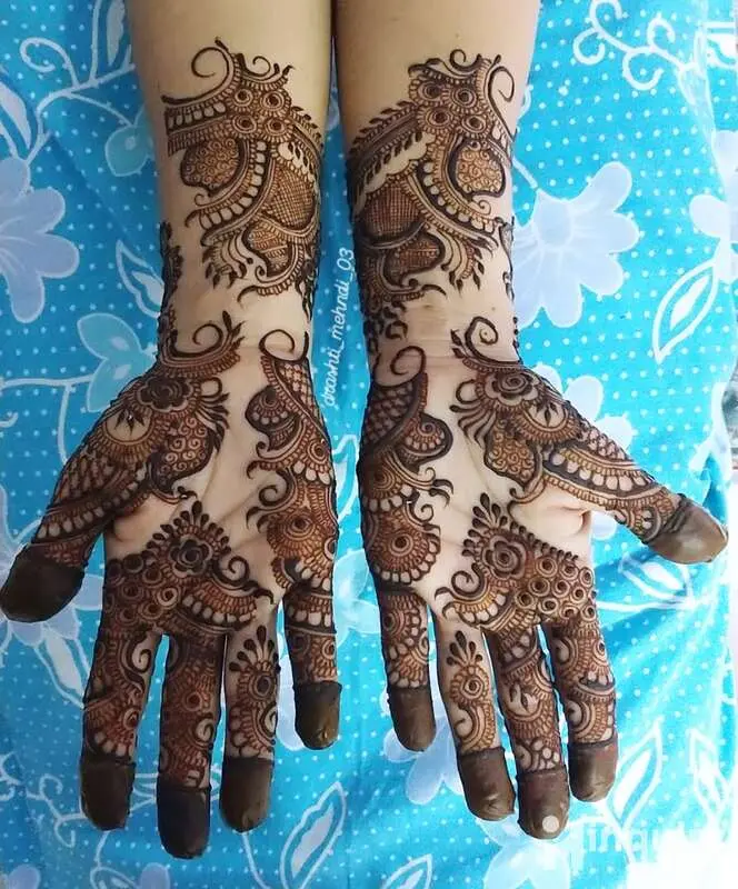 Mehndi Art By Drashti03