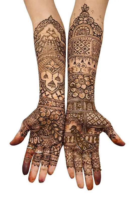 Shanu  Mehndi Artits