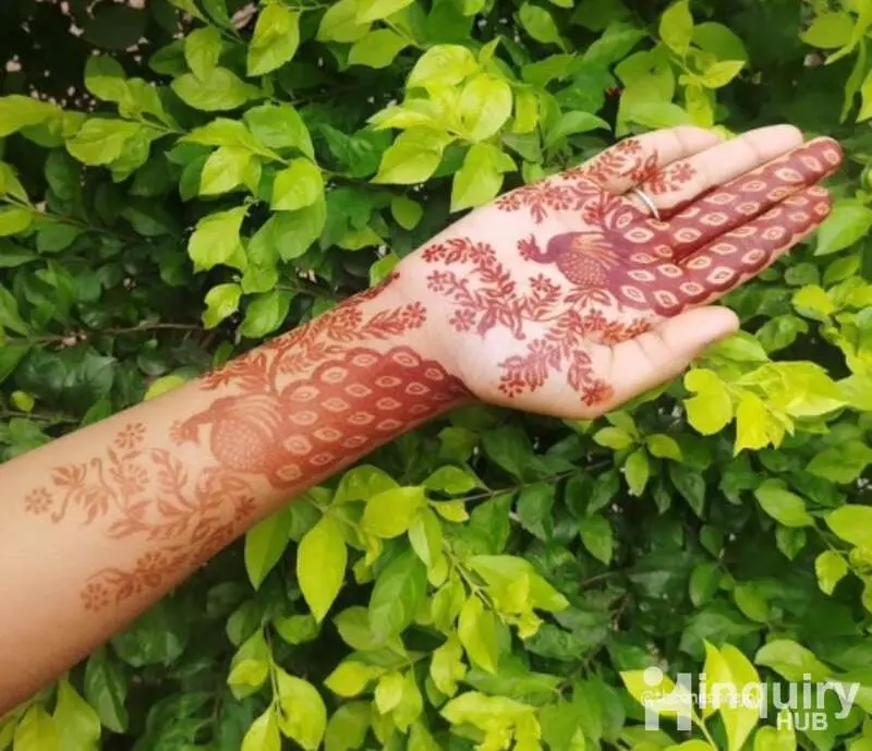 Artist Shrejuu